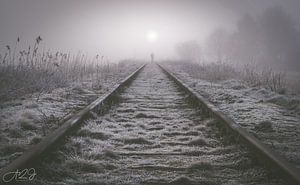 Verloren im Nebel von A2J Photography