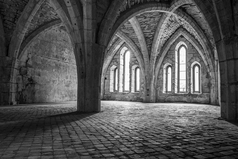 Windows in Fountains Abbey by Lieke Roodbol