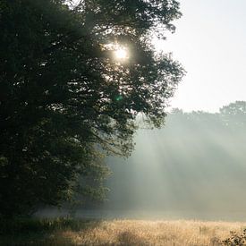 Schöner Sonnenaufgang von Sander Huizinga