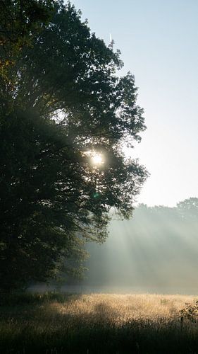 Magnifique lever de soleil