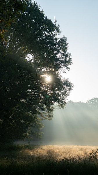 Magnifique lever de soleil par Sander Huizinga