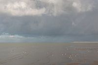 Movement along the Dutch coast