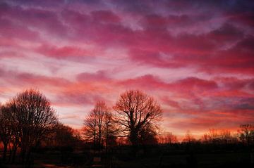Roze zonsondergang van Corinne Welp