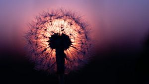 Sonnenuntergang mit einem Fussel von Bert Nijholt