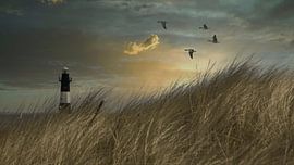 Leuchtturm von Kristof Desmet