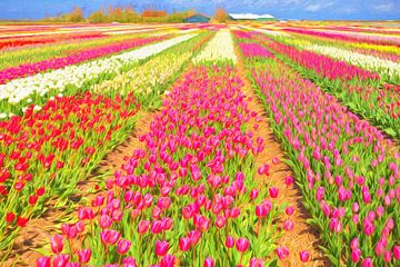 Colorful flower fields sur eric van der eijk