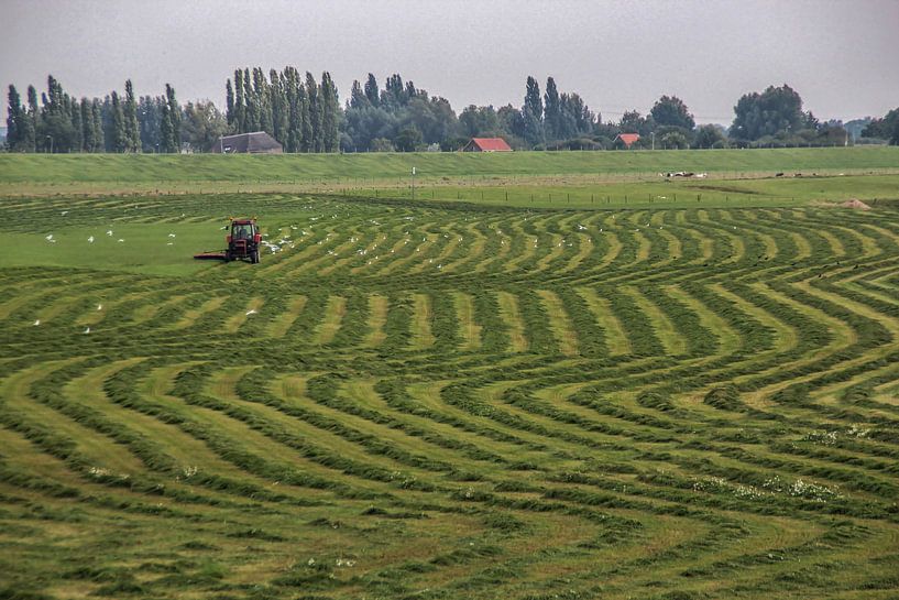 Kunstwerk im Gras von Karlo Bolder