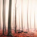 Indian Summer