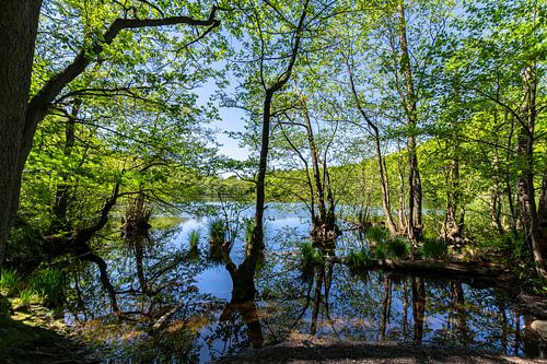 Hertha Meer in Jasmund Nationaal Park, Rügen Eiland