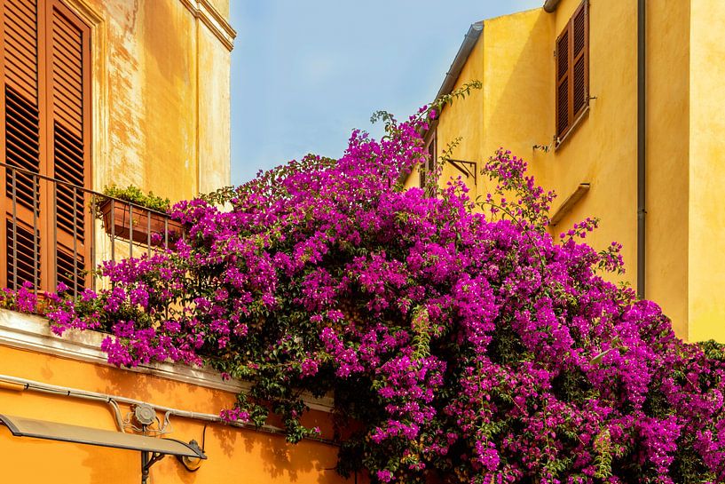 Mediterrane sfeer in La Maddalena, Sardinië, Italië van Mieneke Andeweg-van Rijn