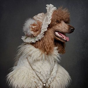 Madame de Pudel