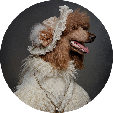 Madame de Poodle van Carine Belzon
