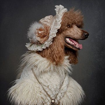 Madame de Poodle van Carine Belzon