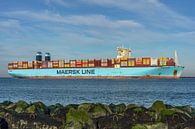 Container ship the Mumbai Maersk. by Jaap van den Berg thumbnail