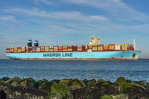 Containerschiff "Mumbai Maersk".