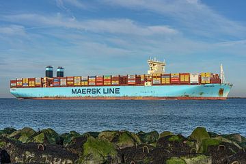 Containerschip de Mumbai Maersk. van Jaap van den Berg