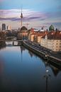 Berlin Schiffbauerdamm mit Spree und Bodemuseum zum Sonnenuntergang von Jean Claude Castor Miniaturansicht