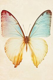 Vlinder met zachte tinten van Imperial Art House