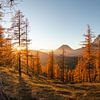 Goldener Sonnenuntergang von Coen Weesjes