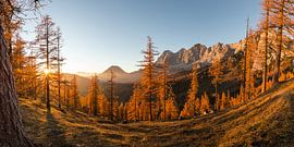 Goldener Sonnenuntergang von Coen Weesjes