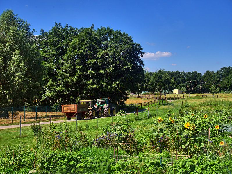 Traction de tracteurs par Edgar Schermaul