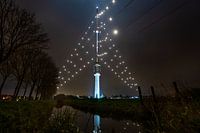 De grootste Kerstboom van de wereld schittert weer over Utrecht