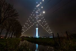 World's biggest Christmas tree shines over Utrecht again by Mel Boas