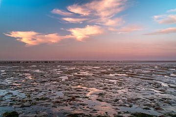 zonsondergang bij laag water. Waddenzee Moddergat