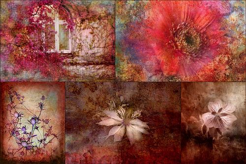 Romaans - Collage in rood