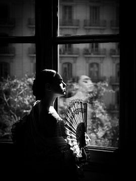 Flamenco danseres van Eric Sweijen