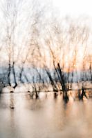 Water Wonderland
