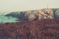 Wild Coast Portugal - Lighthouse