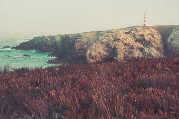 Wilde Küste Portugal - Leuchtturm von FOTOFOLIO.DE