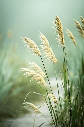 On a Walking Inspiration in Central Delfland