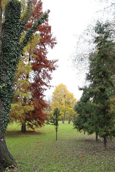 Bunte Laub und Farbenvielfalt im Herbst in Bad Kissingen von Martin Flechsig
