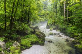 Salzburger Land von Rainer Mirau