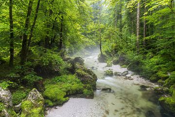 Salzburger Land von Rainer Mirau