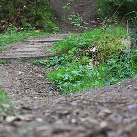 Het Groene Natuur Pad van Luuk de Wit