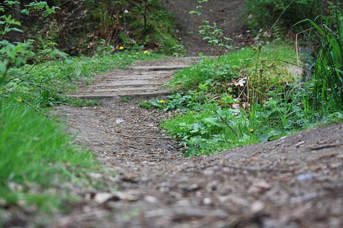 Het Groene Natuur Pad