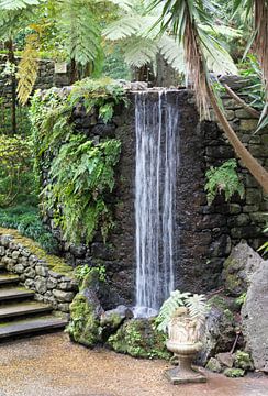 waterfall in tripcal garden Monte Madeira by ChrisWillemsen