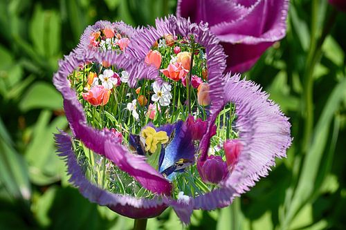 Bloemrijke Fantasie in Purper en Veldkleuren