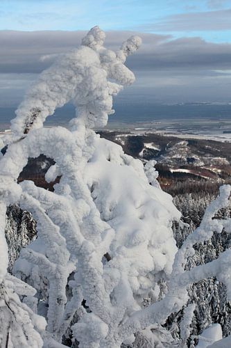 Winterlandschap in de Harz