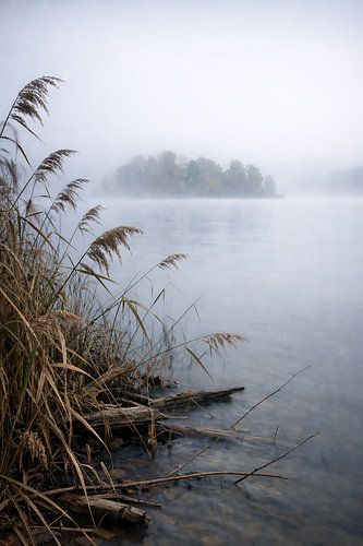 Een mistige ochtend aan de Staffelsee