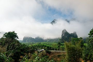Misty Mountains van Khao Sok, Thailand van Raymond Gerritsen
