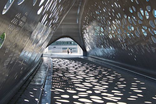 Parkbrug in Antwerpen
