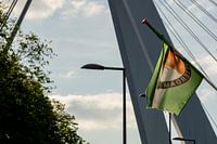 The flag of Feijenoord.