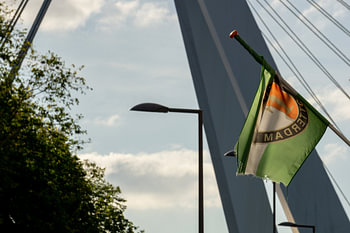 The flag of Feijenoord.