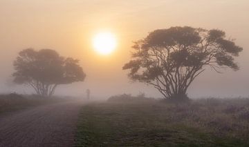 Fietser in de mist van Paul Begijn