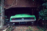 La Mustang oubliée par Roman Robroek - Photos de bâtiments abandonnés Aperçu