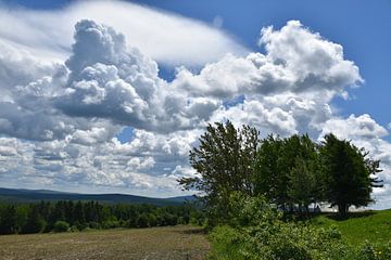 Des nuages dans un ciel d'été sur Claude Laprise